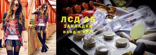 дмт Белокуриха