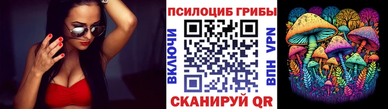 где найти наркотики  Бузулук  Псилоцибиновые грибы Magic Shrooms 